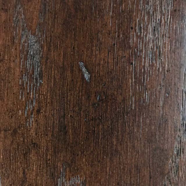 Oak #2